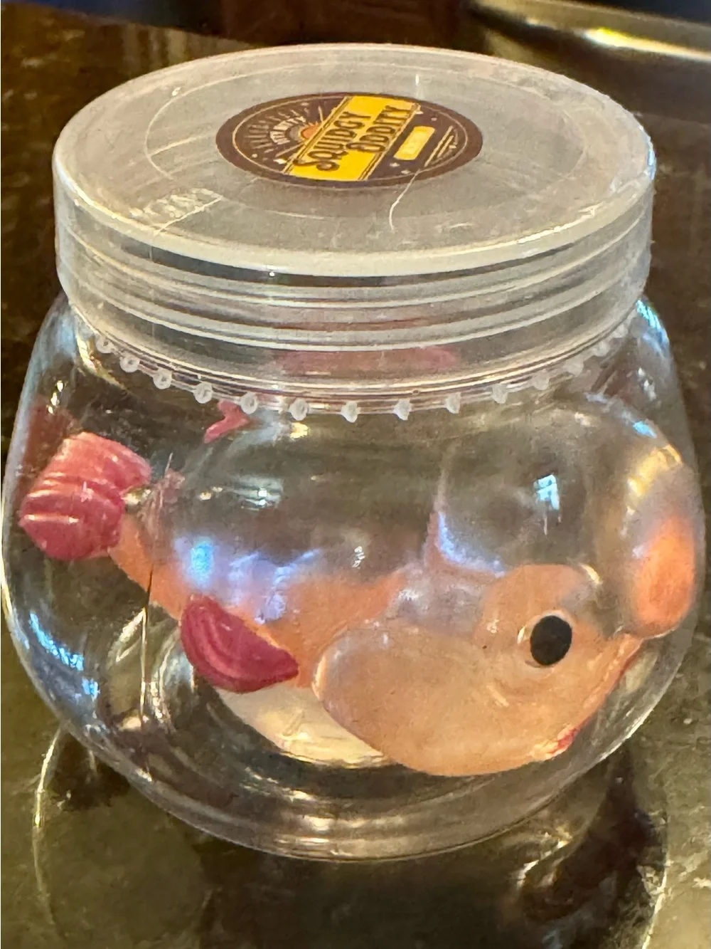 Blobfish Squishy In Clear Aquarium Shaped Container. Cutest Little Blobfish!